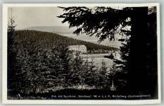 59955 W5788 Winterberg , Westf 1933 - Kur- und Sporthotel Waldhaus