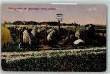 29525 W3110 Uelzen , Lüneburger Heide - Hünengräber bei Kählsdorf Schild Staatseigentum