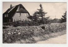 Sylt mit Haus und Tannen ungelaufen Gute Erhaltung.