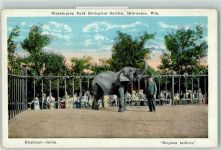 Milwaukee Washington Park Zoological Garden Elefant