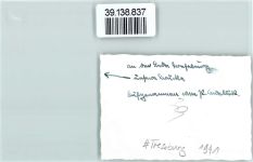 38889 O3721 Treseburg FOTO KEINE AK Frau am See Ort handschriftlich
