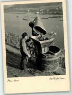 Weinlese Verlag Walter Niessen Nr. 7363 AK Wein