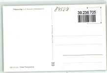 84529 W8261 Tittmoning - Stadtplatz Brunnen Stadttor