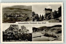 94234 W8374 Viechtach - Ruine Neunußberg Großer Pfahl
