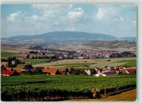 67308 W6719 Einselthum - Donnersberg Weinreben
