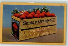 Früchte Sunkist-Orangen aus Kalifornien AK Lebensmittel