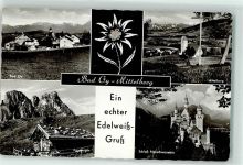 87466 W8967 Oy - Schloss Neuschwanstein Edelweiß Mittelberg Aggenstein
