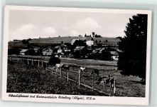 87466 W8967 Mittelberg b Oy - Rinderweide
