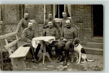 Deutsche Bracke Uniform Jagdhund Privatfoto AK
