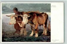 sign. Ferry Reinold - Tiergespann mit Rinder - Landwirtschaft Tiergespann 1933 Künstlerkarte