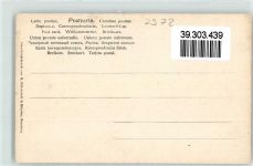 26757 W2972 Borkum - Fischer Meerschaumpfeife