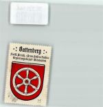 67271 W6719 Battenberg Pfalz Vignette Wappen Kaffee Hag ca. 1920-1940 Rad