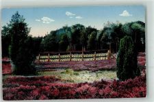 Bienenzaun Lüneburger Heide Nr.37 Biene