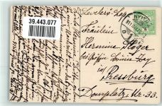 Alpenflora Edelweiss Enzian Gruss aus den Bergen 1911