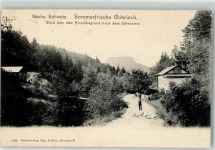 01824 O8321 Gohrisch 1907 Gebrauchsspuren Sächsische Schweiz Sommerfrische Hirschkegrund Lilienstein