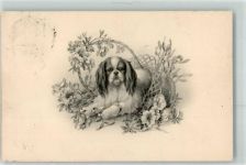 Blumen M.Munk Nr.611 Spaniel 1911