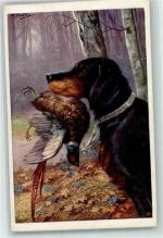 Ente B.K.W.I. Nr.859-1 Jagdhund
