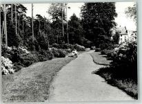 18181 O2553 Graal-Müritz , Seeheilbad - Rhododendronpark