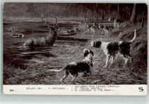 sign.Maissen F. Pointer Hirsch Salon de Paris Nr.108 Jagdhund Künstlerkarte