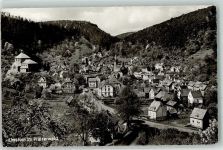67471 W6738 Elmstein Gebrauchsspuren im Pfälzerwald