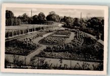 08393 O9612 Meerane - Rosarium