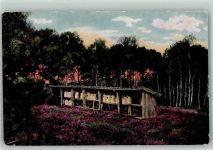 Lüneburger Heide KGH Nr.11 Biene