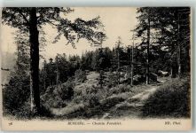 88540 Bussang Büssing - Chemin Forestier