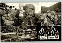 99768 O5505 Ilfeld , Südharz - Schwimmbad Dreitälerblick Gänseschnabel