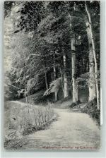 24340 W2330 Eckernförde - im Altenhof