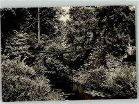 06786 O4414 Wörlitz Foto AK Wörlitzer Park Kettenbrücke