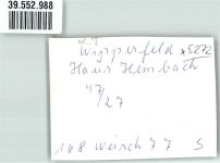 51688 W5272 Wipperfeld FOTO KEINE AK Haus Hembach Ort handschriftlich