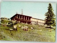 Zakopane Gebrauchsspuren Gasthaus