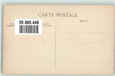 Mas de l`Amaree Camargue Rinder Motiv Frankreich
