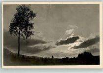 87484 W8964 Nesselwang Foto AK Wolkenverhangene Sonne über einem einsamen Baum Fotograf A. Tanner Ort lt. Fotograf
