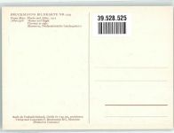 sign. Marc Franz Pferde und Adler Bruckmanns Bildkarte Nr.229 Expressionismus Künstlerkarte