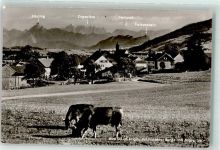 87466 W8967 Oy 1957 Foto AK Füssener Berge Zugspitze
