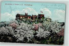 14542 O1512 Werder Havel 1914 Künstlerkarte Wachtelburg