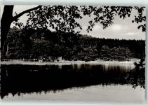 61250 W6390 Usingen Foto AK Schwimmbad Hattstein-Weiher