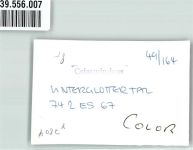 79286 W7804 Unterglottertal FOTO KEINE AK Ort handschriftlich