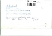 63906 W8765 Erlenbach a. Main FOTO KEINE AK Kirche Ort handschriftlich