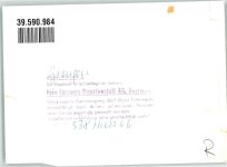 89522 W7928 Giengen an der Brenz FOTO KEINE AK Foto Original aus Archiv eines Ansichtskartenverlags Ort handschriftlich