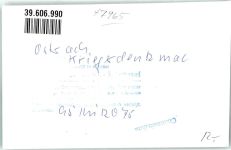 88356 W7965 Ostrach FOTO KEINE AK Buchbühldenkmal Ort handschriftlich Foto Original aus Archiv eines Ansichtskartenverlags