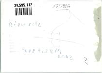 97794 W8786 Rieneck FOTO KEINE AK Ort handschriftlichFoto Original aus Archiv eines Ansichtskartenverlags