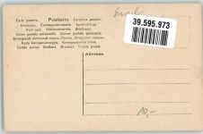 NPG Nr.563-3 Elfe