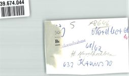 96349 W8645 Steinwiesen FOTO KEINE AK Ort handschriftlich Foto Original aus Archiv eines Ansichtskartenverlags