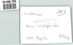 63863 W8751 Wildensee , Unterfr FOTO KEINE AK Foto Original aus Archiv eines Ansichtskartenverlags Pension Waldfrieden Oldtimer Ort handschriftlich