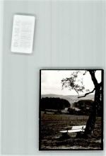 32756 W4930 Diestelbruch FOTO KEINE AK Bank Baum Ort handschriftlich Foto Original aus Archiv eines Ansichtskartenverlags