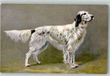 Ein Cocker Spaniel Edition Stehli No. 94 Spaniel Künstlerkarte