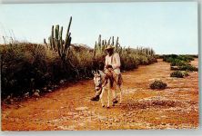 Curacao 1963 - Esel Country Road