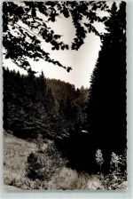 57334 W5928 Feudingen , Kr Wittgenstein FOTO KEINE AK Ilsetal Foto Original aus Archiv eines Ansichtskartenverlags